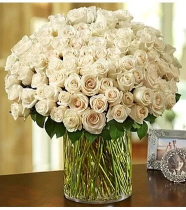 Elegant 100 Premium Long-Stemmed White Roses in a Vase