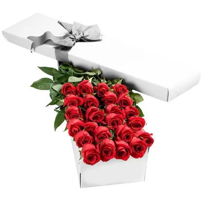 Premium Two Dozen Red Roses in a Box