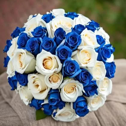 3 Dozen Blue & White Roses Bouquet