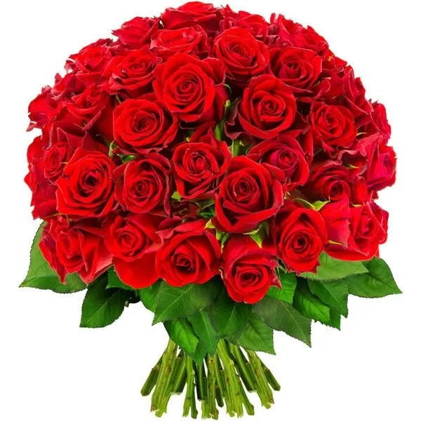 50 Red Roses Bouquet