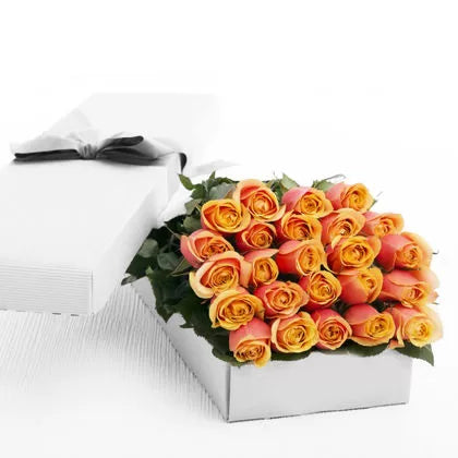 Beautiful 2 Dozen Peach Roses in a Box