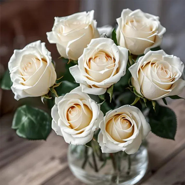 Charming 6 White Roses in a Vase