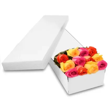 Vibrant Mix Color Roses in a Box