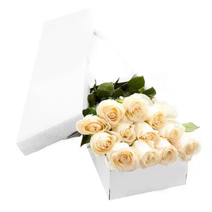 Fresh Dozen White Rose in Elegant Box