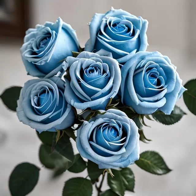 Enchanting Elegance - Blue Roses for Timeless Charm