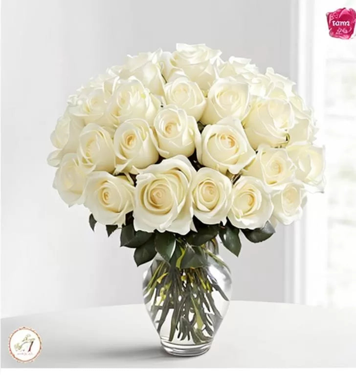 Fragrant 50 White Roses in a Vase