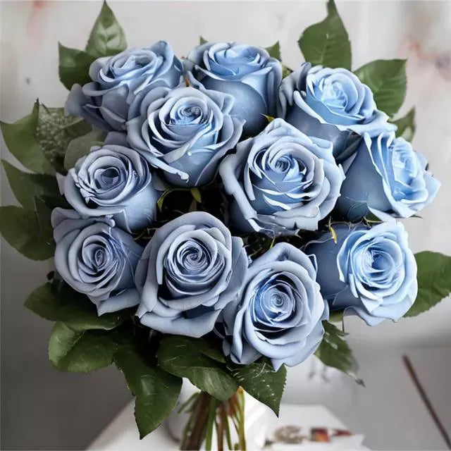 Glossy Large 12 Blue Moon Roses