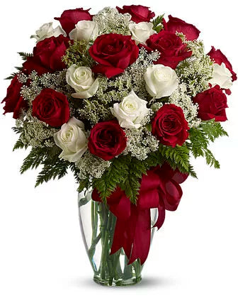 50 Red and white Roses with Long Stems in a Vase