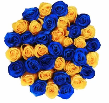 Enchanting 50 Blue and Yellow Roses Bouquet