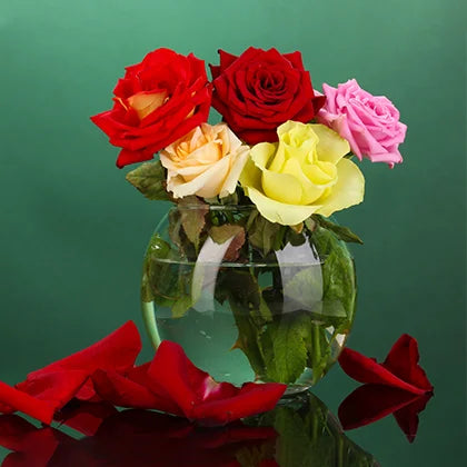 Sophisticated 6 Mix Color Roses in Glass Cube Vase